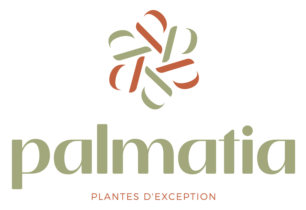 Palmatia - Plantes d'exception