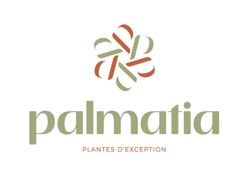 Palmatia Plantes - Plantes en ligne