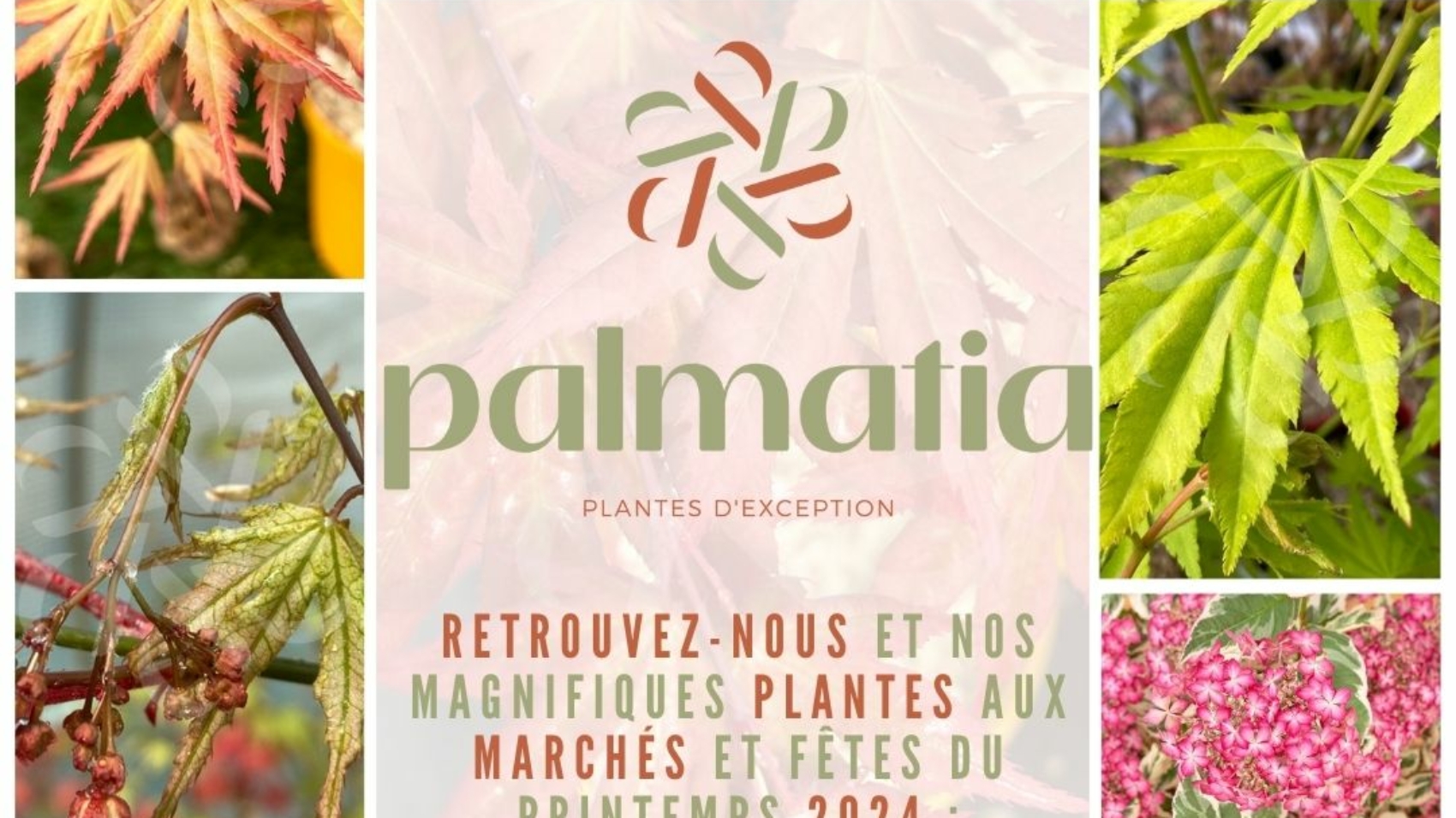 Marchés et fêtes des plantes Printemps 2024 Palmatia Plantes