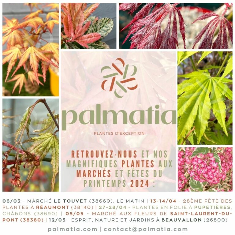 Marchés et fêtes des plantes Printemps 2024 Palmatia Plantes