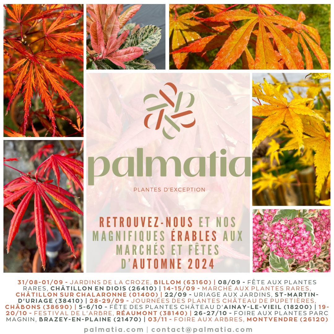 Marchés et fêtes des plantes Automne 2024 Palmatia Plantes