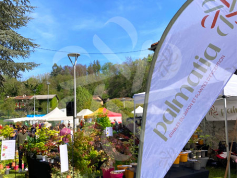 Marchés et Fêtes des Plantes Palmatia - Érables du Japon et Plantes d'exception