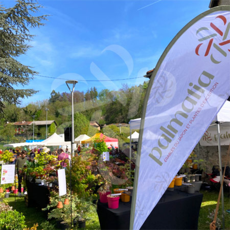 Marchés et Fêtes des Plantes Palmatia - Érables du Japon et Plantes d'exception