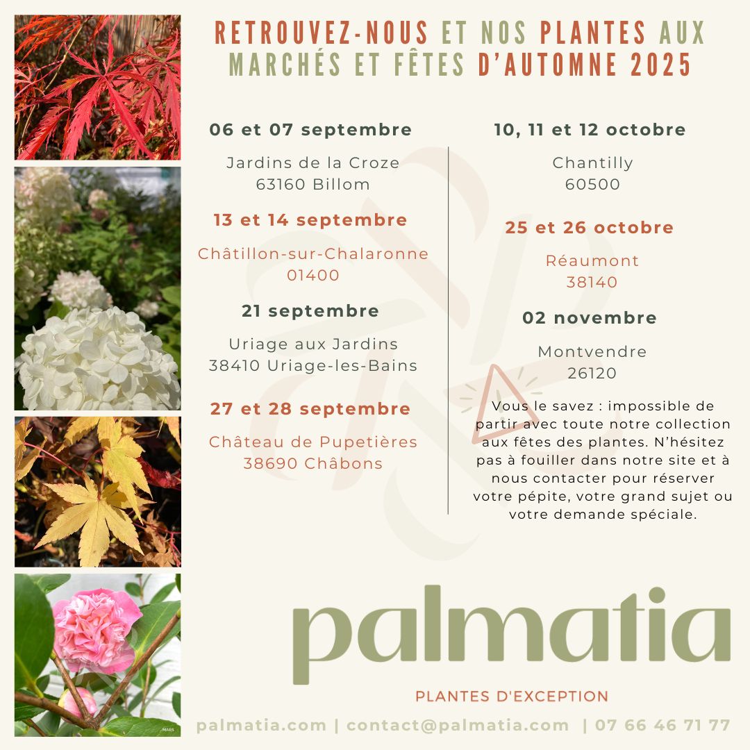 Agenda Palmatia fêtes des plantes automne 2025 - Érables du Japon