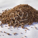 Engrais pour Érables du Japon