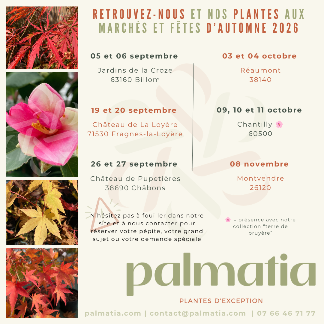 Agenda Palmatia Plantes - Automne 2026